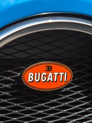Bugatti Veyron 16.4 Grand Sport Roadster Vitesse Meo Constantini 2013 года  (NA)